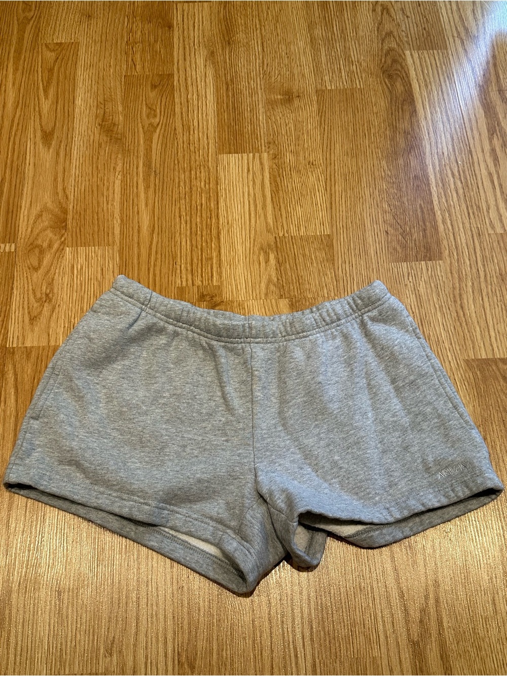 Aritzia Shorts